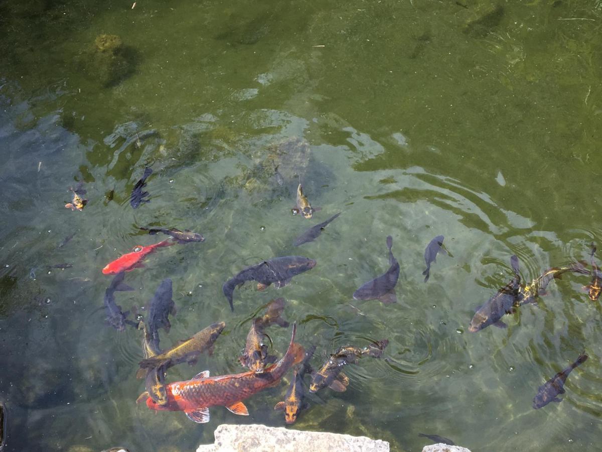 Kukurutz Residencia Hotel San Cristobal de las Casas Bagian luar foto